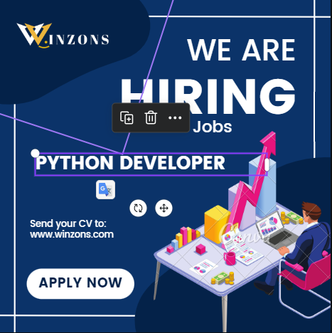 Python Developer